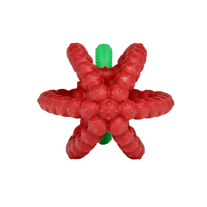 Razberry Bites Teething Toy