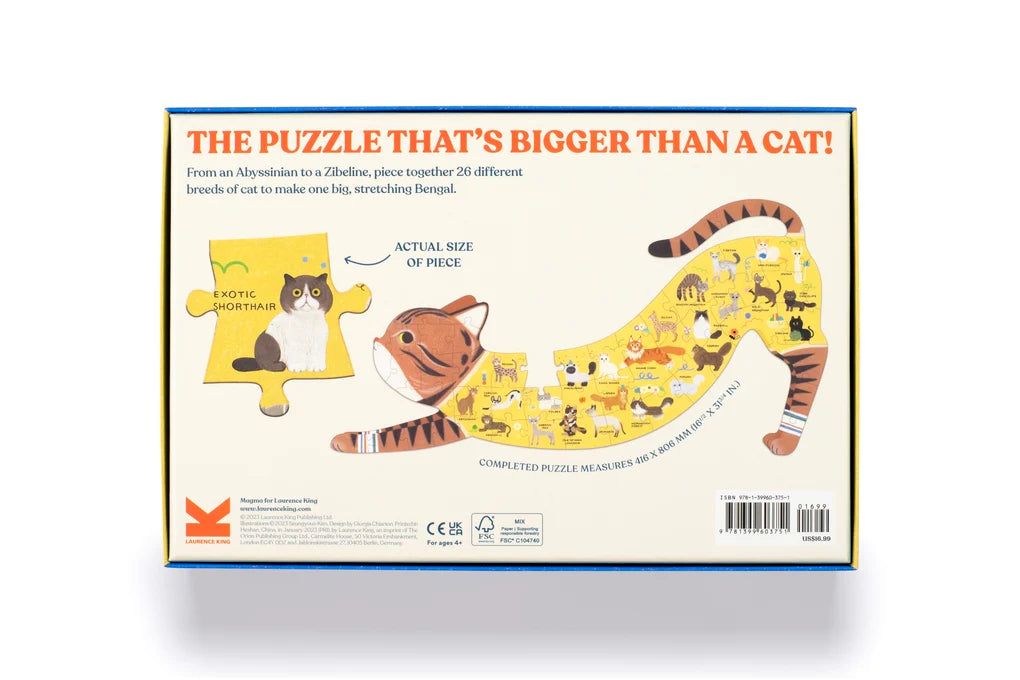 caption-cat puzzle box