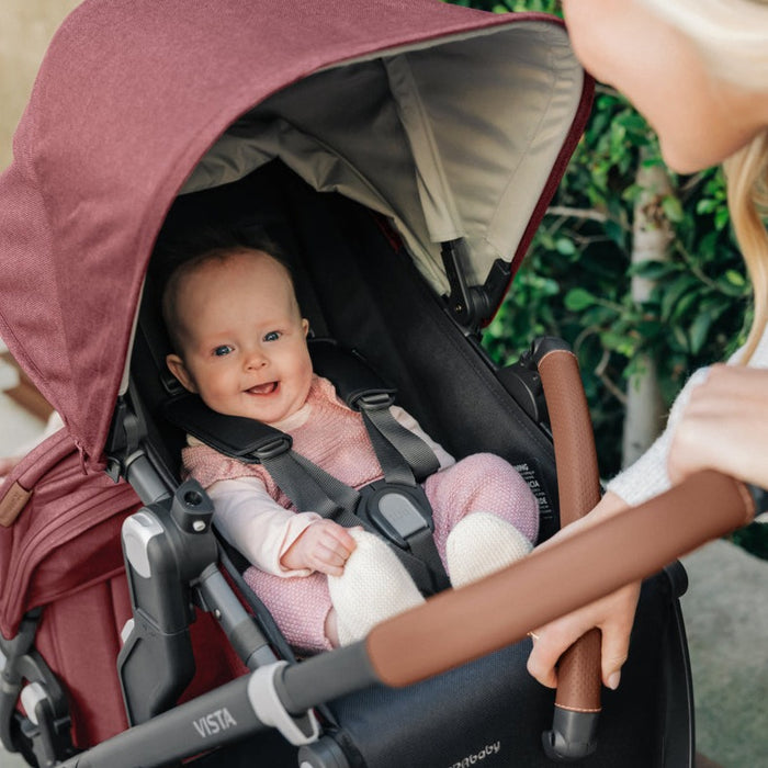 caption-UPPAbaby Vista V2 in Lucy 