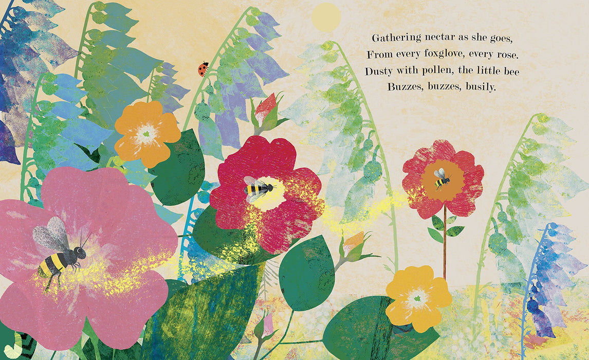 Bee: A Peek Through Picture Book