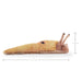 caption- Approximate measurement of mini finger puppet slug