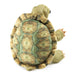 Plush turtle toy with detailed shell on a white background