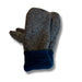 Pair of gray mittens with blue cuffs on a white background