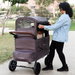 Woman pushing a wagon stroller with a child in a park setting