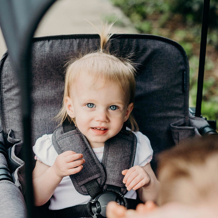 Wonderfold W2 Elite Double Seater Stroller Wagon