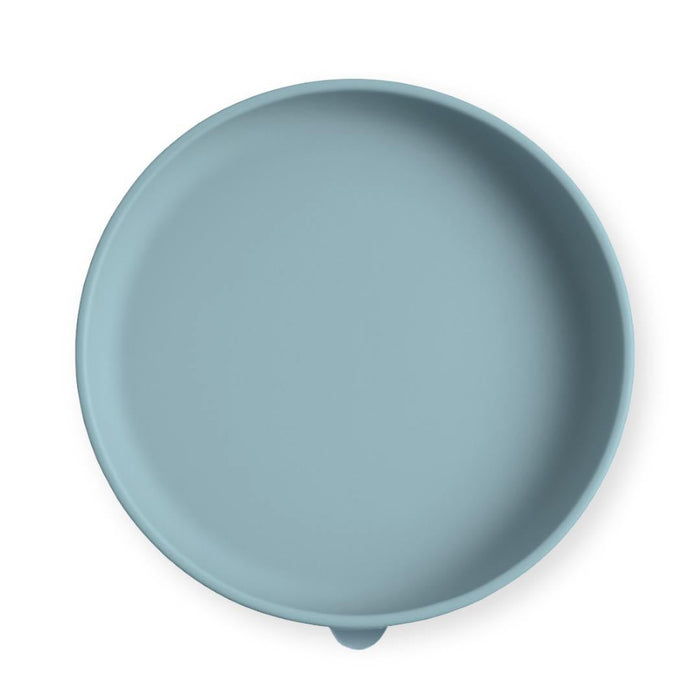 Blue silicone plate on a white background