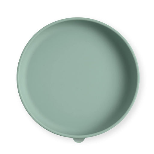 Green silicone plate on a white background