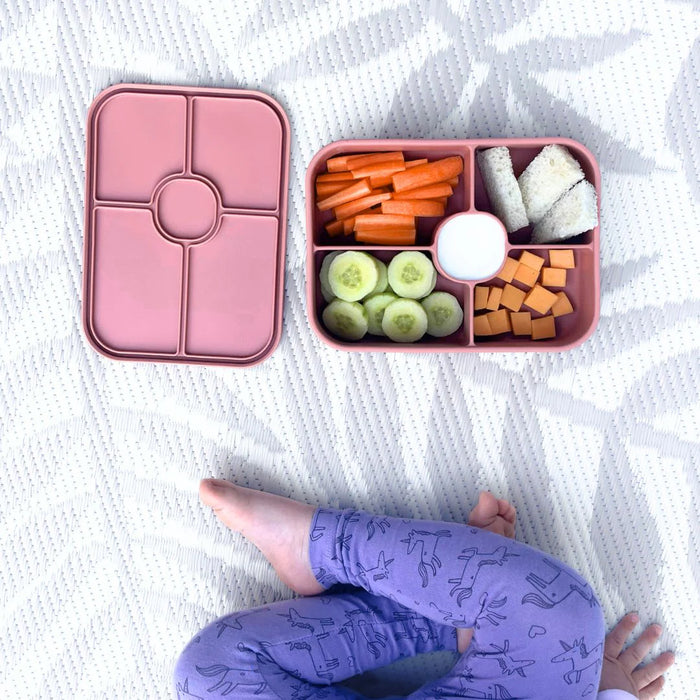 Silicone Bento Box - Nurtured