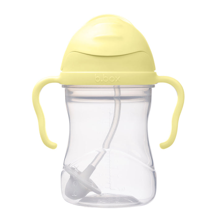 B. Box Straw Sippy Cup - Nurtured