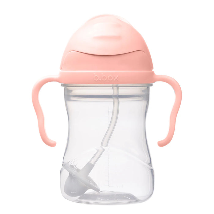 B. Box Straw Sippy Cup