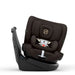A dark brown and black rotating infant car seat with a white and black patterned safety harness insert, shown from a three-quarters angle on a white background.
