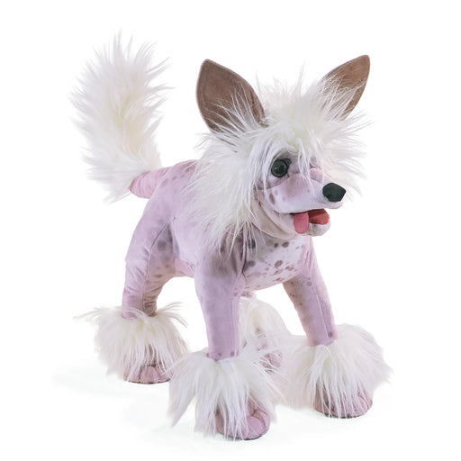 A plush chinese crested puppet dog with fluffy white tail, shown on a white background