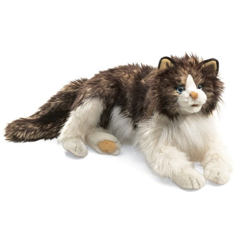 Folkmanis Rag Doll Cat | Shop our Toys - Nurtured, Halifax, NS