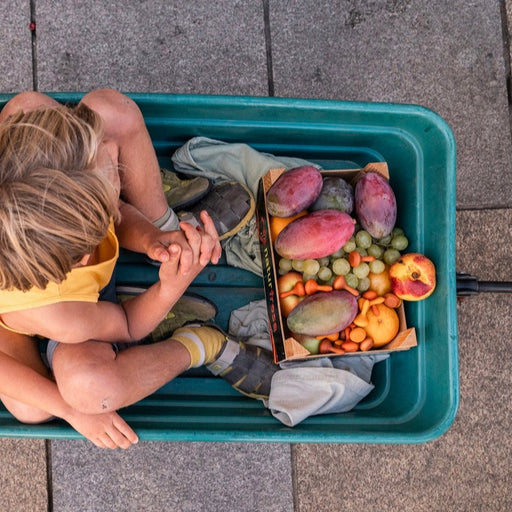 caption-Children in wagon with fresh fruits and tiny mandala pieces amongst