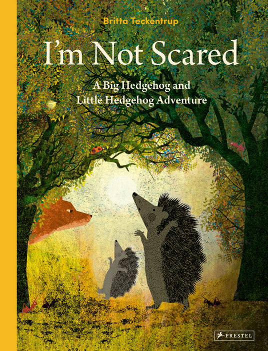 I'm Not Scared (Hardcover)
