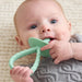 Baby holding a green teething toy with a neutral background