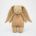 Organic cotton bunny with soft light in belly from internal light and white noise machine on white background