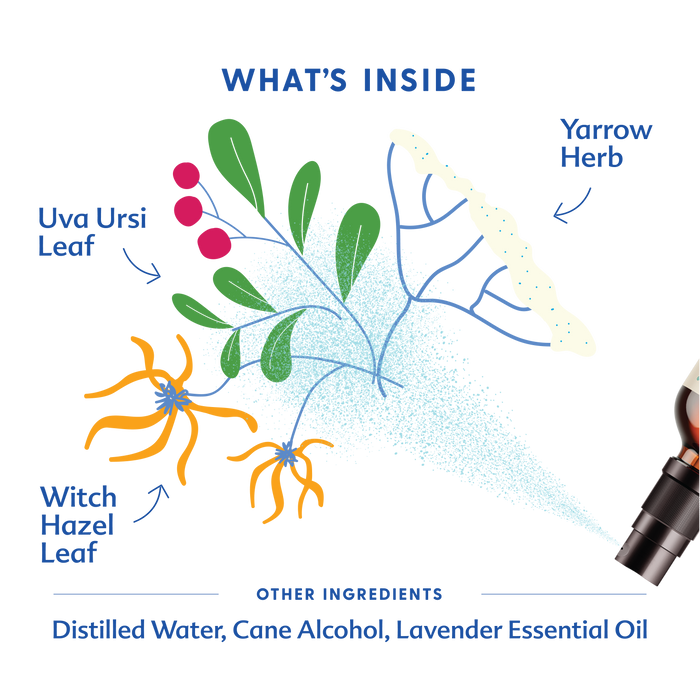 Illustration of plant ingredients with labels and a spray bottle on a white background