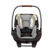 Nuna Pipa Lite Infant Car Seat - Nurtured