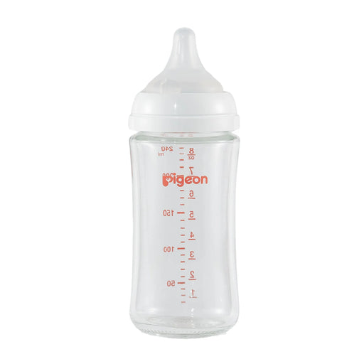 Pigeon glass baby bottle with dome shaped nipple on a white background
