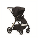 Black stroller with gold accents on a white background