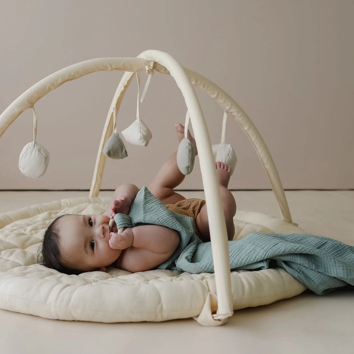 Snuggle Me Play Gym