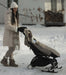Woman in winter clothing pushing a stroller with snowshoes on a snowy path.