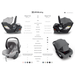 Comparison chart of UPPAbaby Mesa V2 and V3 car seats with specifications.