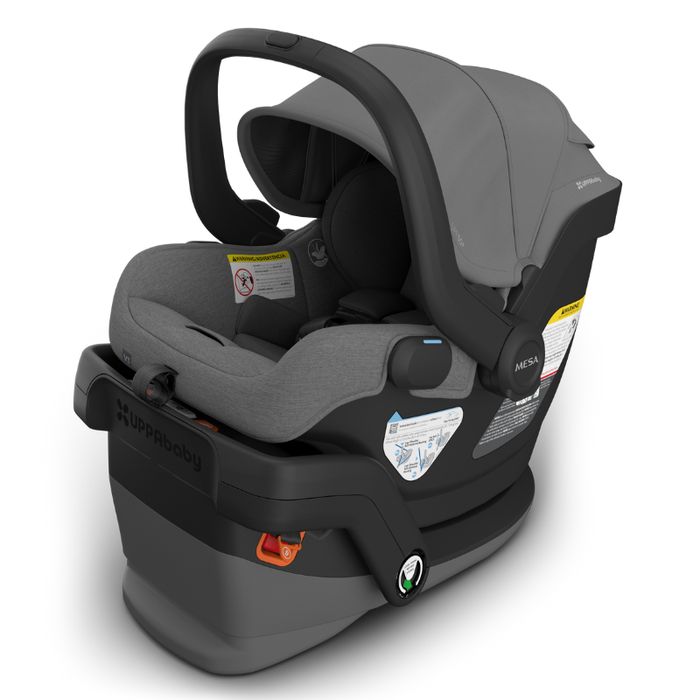 Gray and black UPPAbaby infant car seat with visible branding on a white background