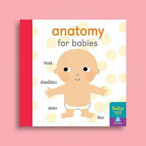 Baby 101: Anatomy