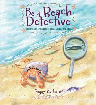 Be A Beach Detective
