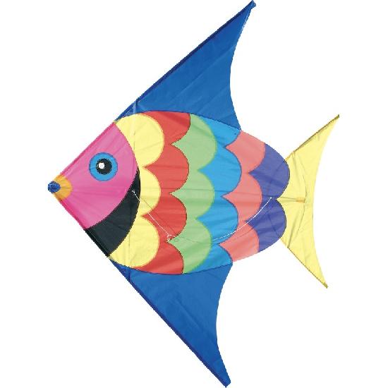 caption-Colourful fish shaped kite