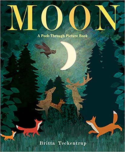 Moon: A Peek Through Picture Book