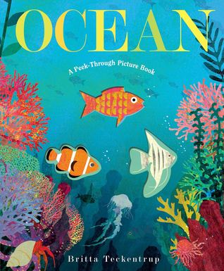 Ocean: A Peek Through Picture Book