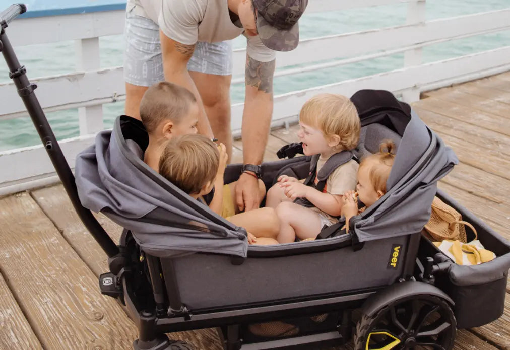 Veer wagon online weight limit